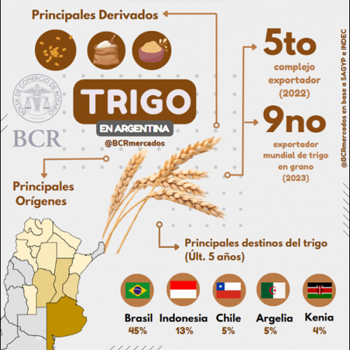 El aporte fundamental del trigo a la economía argentina | Bolsa de ...