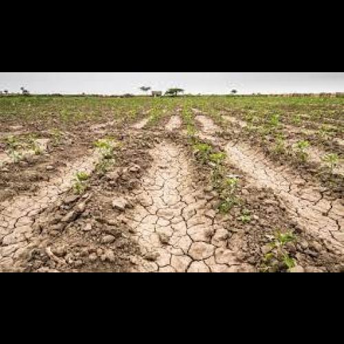 En Santa Fe, el costo de la sequía asciende a US$ 3.100 millones para ...