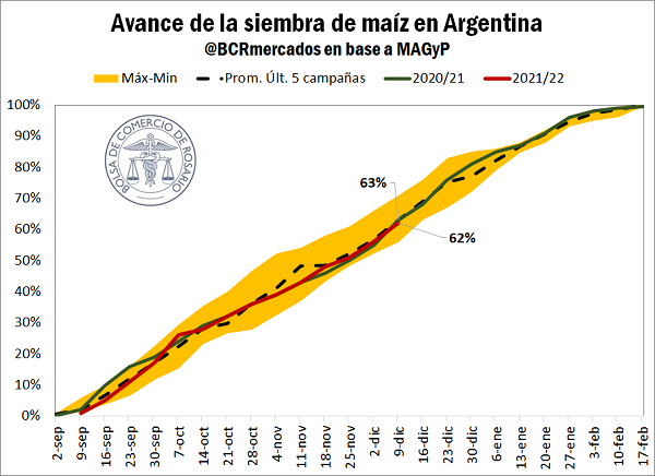 Se mantiene elevado el diferencial de precio entre los maíces tempranos y tardíos