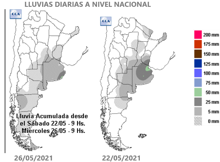 Llegaron las precipitaciones que la región núcleo necesitaba: ahora el trigo va por los 40 qq/ha 4 5 2 0