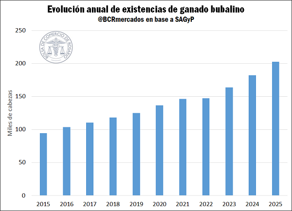 El b&uacute;falo gana espacio en la ganader&iacute;a argentina y consolida su expansi&oacute;n en el NEA