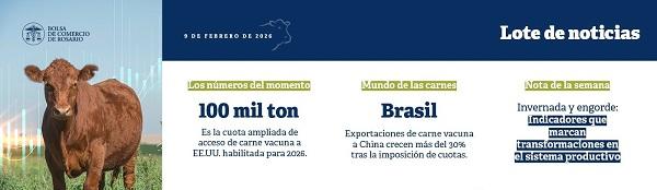 Sequía y stock bovino: unas 7,5 millones de cabezas están bajo riesgo en plena etapa de retención
