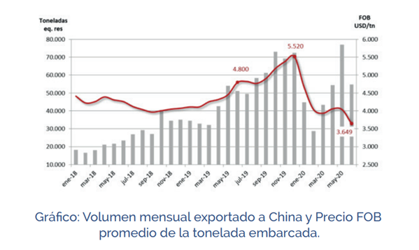 Exportaciones de carne vacuna- BCR