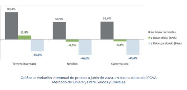 carne vacuna: variación interanual de precios a junio 2020